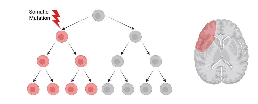 Mosaicism(1)