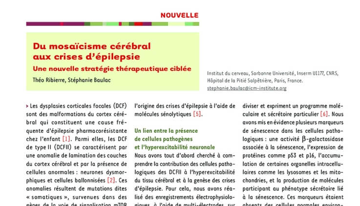 Screenshot 2025-06-26 at 10-12-51 Du mosaïcisme cérébral aux crises d’épilepsie - Une nouvelle stratégie thérapeutique ciblée médecine_sciences(1)